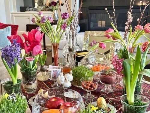 A Nowruz table crowded with tulips, hyacinths and sprouting wheat grass
